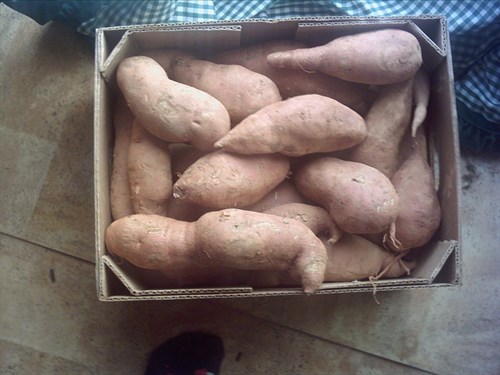 Sweet Potatoes 25lb. box