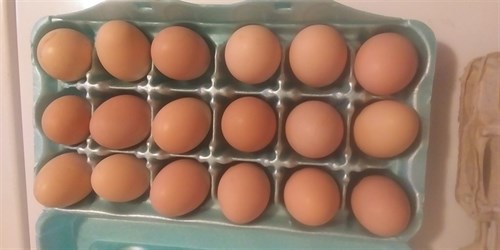 Eggs, Pullet Eggs