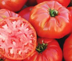 Plants, Tomato 'Mortgage Lifter'
