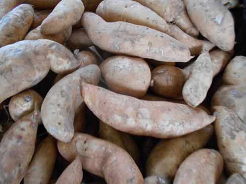 Sweet Potatoes