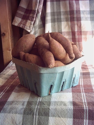 Sweet Potatoes,Fingerlings