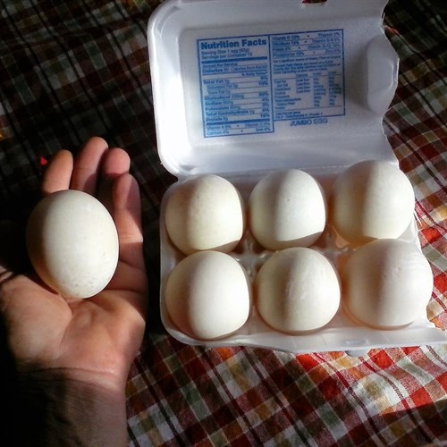 Eggs, Duck Eggs