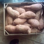 Sweet Potatoes 25 lb box