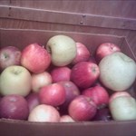 Mixed Apples