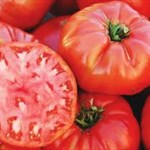 Mortgage Lifter tomato